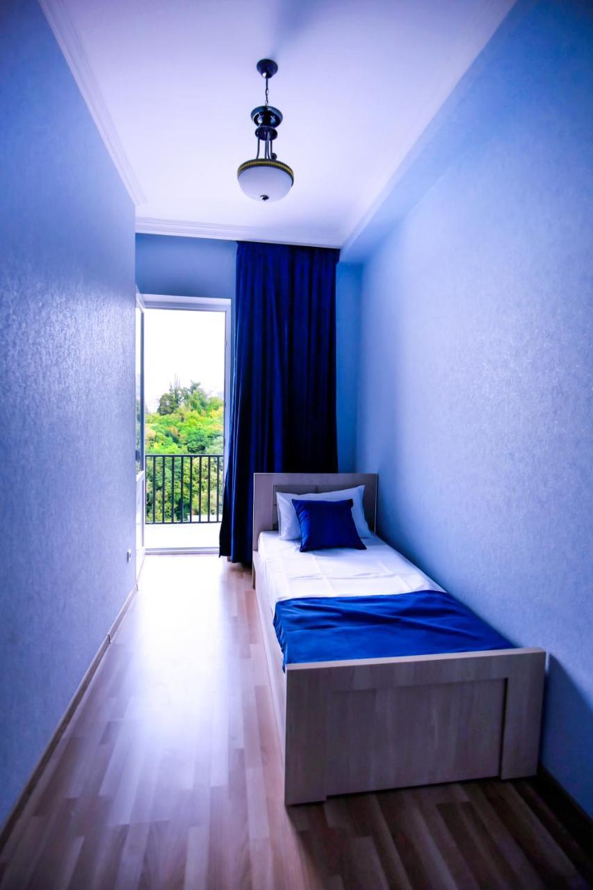 Hotel Blue Ridge ティビリシ エクステリア 写真
